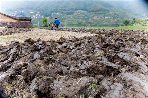 广东省地耕地保护责任目标考核内容有哪些-摄图网