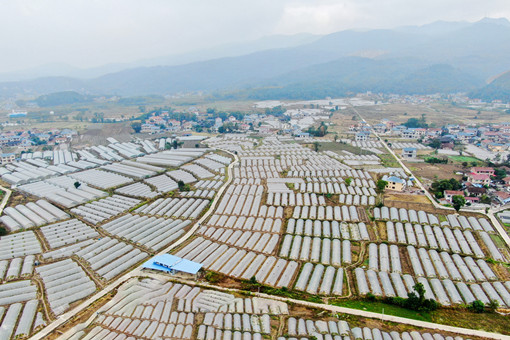 黑河市2024年征地區(qū)片綜合地價(jià)標(biāo)準(zhǔn)-攝圖網(wǎng)