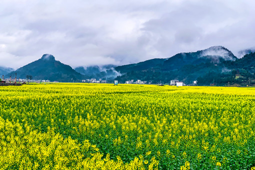 2024年印江县家庭农场补助政策-摄图网