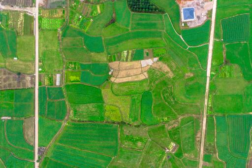 2024年广西钦州市浦北县大豆玉米带状复合种植补贴政策-摄图网