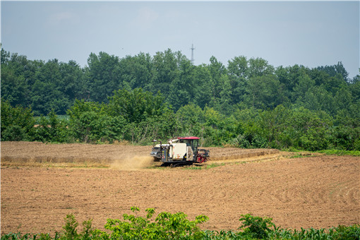 东北地区大豆、玉米种植补贴政策-摄图网