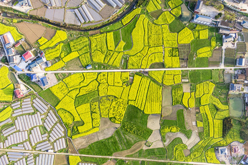 2024年揭西县农村土地流转奖励政策-摄图网