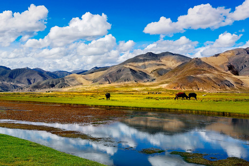 2024年西藏惠民惠农补贴政策清单-摄图网