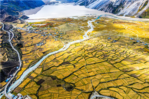 西藏惠农补贴政策-摄图网