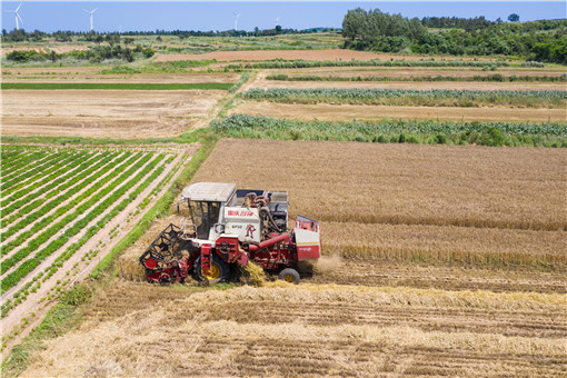 山东小麦单产多少吨-摄图网