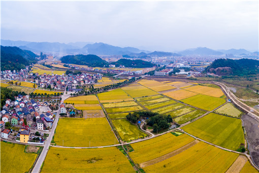 加强农村宅基地规范管理措施有哪些-摄图网