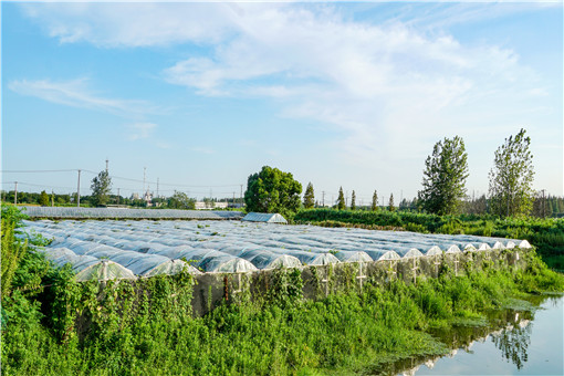 违法占用耕地建设庭院怎么处理-摄图网