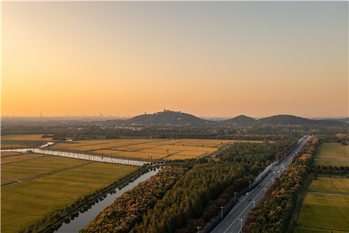 湖南津市耕地保护措施-摄图网