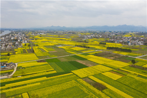 枣庄住房公积金贷款最新规定-摄图网