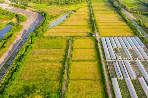 湖南株洲茶陵县2024年稻谷目标价格补贴政策-摄图网