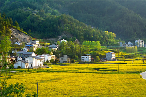 农村宅基地统一改革-摄图网