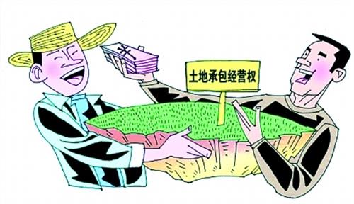 55a4812ca6e39.jpg