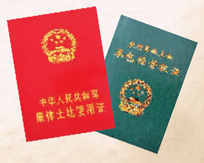565be4b7cf88d.jpg
