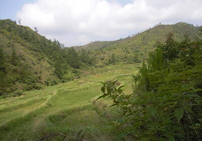 耕地机_人均耕地怎么算