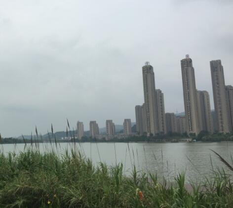 新政策人均住房面积是_人均住房面积条形图(2)
