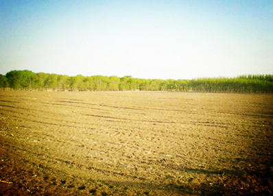 5796c2457bcc0.jpg