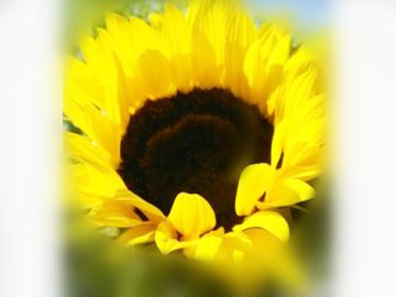 57a06687dbf9c.jpg