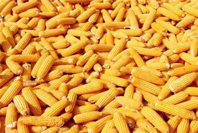 58993ba3818b0.jpg