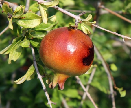58d1f4e383a68.jpg
