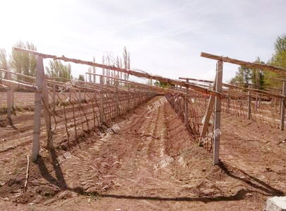 什么是基础设施 58f9af31cfbe1.jpg