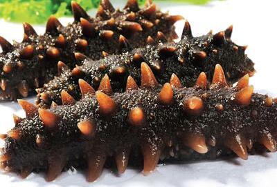 怎样挑选干海参图片 5966d56d83040.jpg