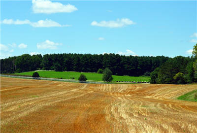 2019年农村经济_(参见《农村绿皮书:中国农村经济形势分析与预测(2018~2019)》...(2)