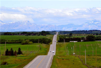 2019农业经济_2019年国家最新政策 这些农民有补贴,最高能领数万元