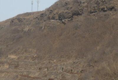 什么叫中风化 5970568d317ff.jpg