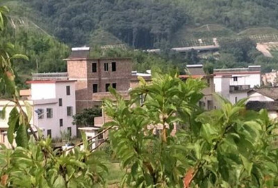 各省人均耕地_牛耕地图片(3)