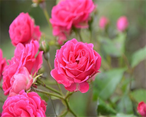 59db1fa2b61c1.jpg