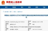 陕西省政府关于创新农村基础设施投融资体制机制的实施意见（陕政办发〔2017〕87号）