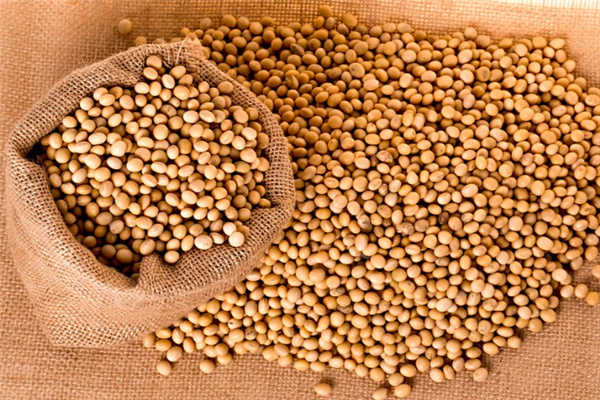 59f13b313b6d4.jpg
