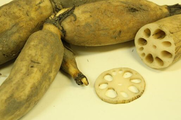 怎么在家种藕 5a0cf6d528699.jpg