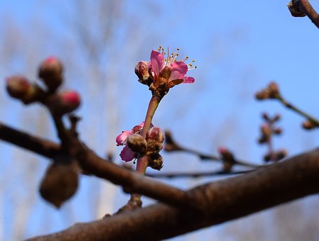 5a6559d5c23b0.jpg