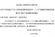 关于武山县《关于支持返乡下乡人员创业创新促进农村一二三产业融合发展的实施意见》等3个实施意见