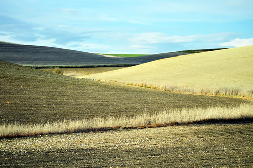 5a7162c838bec.jpg
