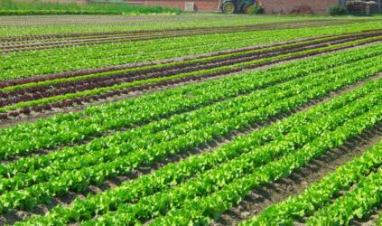 什么叫有机农药 5ac2e3fa22e14.jpg