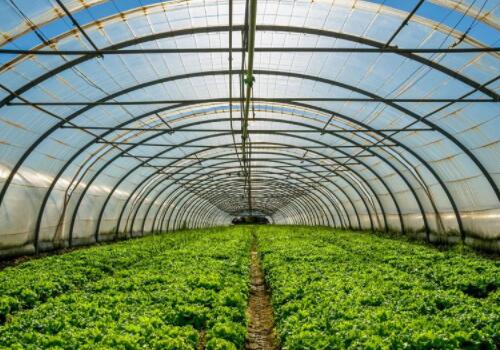 大安市2018年全市棚膜蔬菜园区发展实施方案：日光温室每栋造价20万元以上，补助5万元（附标准）