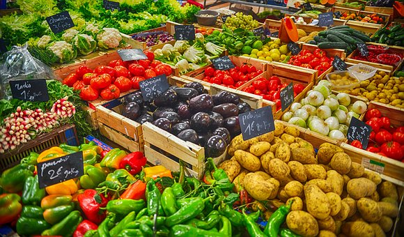 有机蔬菜是什么 和无机蔬菜有什么区别 市场前景如何 怎么种植