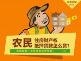 政策图解：农民住房财产权抵押贷款怎么贷？