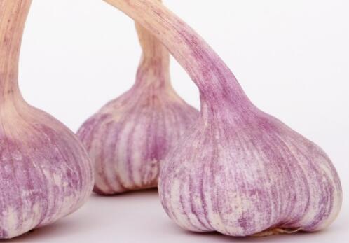 啥时候种大蒜最适合 5afa471483b26.jpg