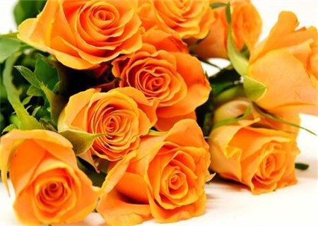 花鲢_花鲢每亩收入多少钱