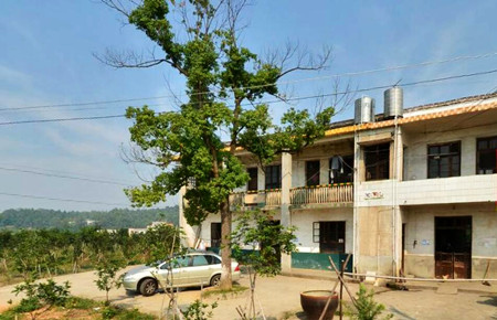 农村宅基地确权证图片_农村人均宅基地面积了(2)