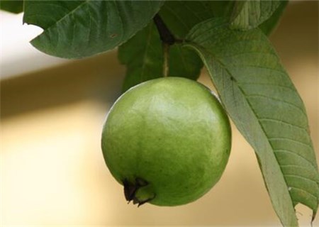5b2c657858839.jpg
