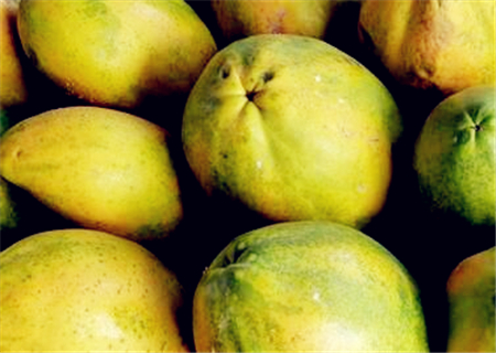 木瓜怎么吃最好最简单 5b4c4526cc316.jpg