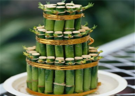 富贵竹几支为宜 5b5ec5673e697.png