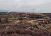 自然资源部新政策：闲置土地将依法依规收回，农用地征收2年内未补偿将失效！