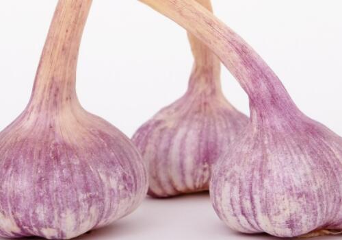 啥时候种大蒜头 5b62b003548cf.jpg