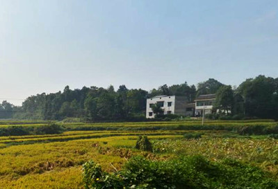 5b6807cc27ed6.jpg