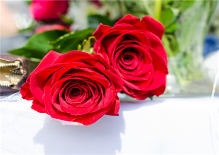 5b68fbb888633.png